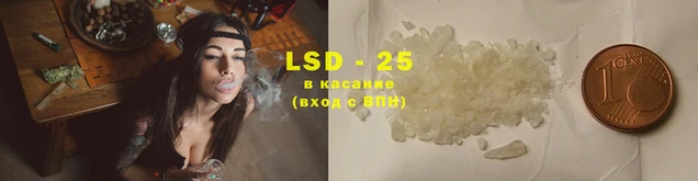 spice Вязники