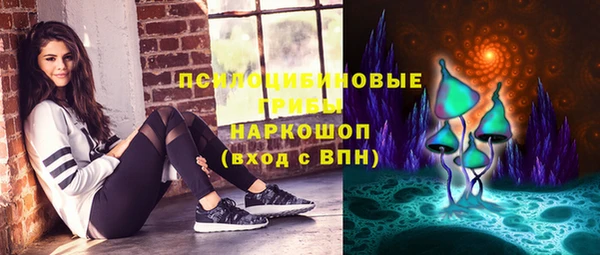 стаф Володарск