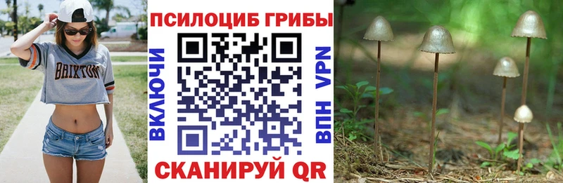 Псилоцибиновые грибы GOLDEN TEACHER  Югорск 